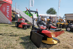 DSCF1375
