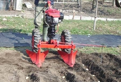 Hrobkovací radlice při práci - zahrnování brambor