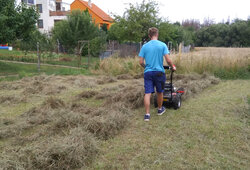IMG_20190807_163413