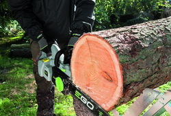 EGO Chainsaw 5_resize
