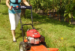 The DS-521D Líza 60 brush cutter at work