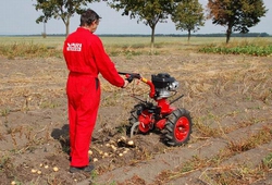 Vyorávač brambor při práci