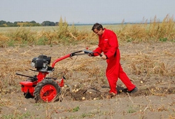 Vyorávač brambor při práci