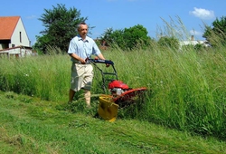 The BDR-595GMI Adela 190 brush cutter