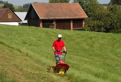 Camp extremniho seceni_Troskovice_20.jpg