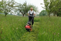 Troskovice 2010_01.jpg