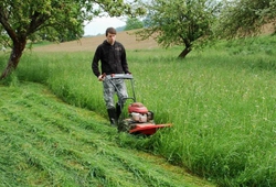 Troskovice 2010_04.jpg