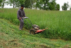 Troskovice 2010_19.jpg