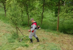 Troskovice 2010_27.jpg