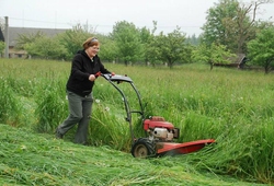 Troskovice 2010_35.jpg