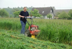 Troskovice 2010_38.jpg