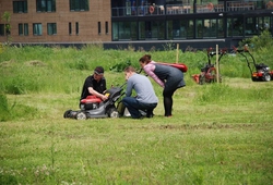 Honda day 13.jpg