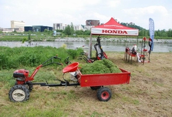 Honda day 17.jpg