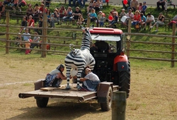 Traktor show 15.jpg
