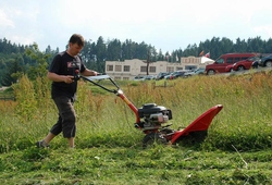 Traktor show 17.jpg