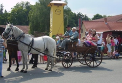 PICT5575.jpg