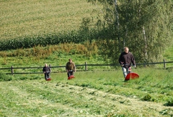 Kemp Sikluv Mlyn_14.jpg