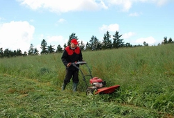 Kemp Sikluv Mlyn_16.jpg