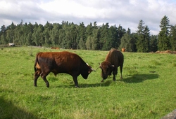 Kemp Sikluv Mlyn_59.jpg