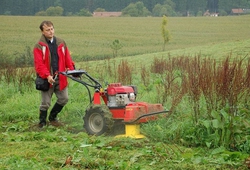 Resize of 1200X.jpg