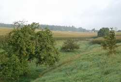 Resize of DSC_1042.jpg