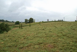 Resize of DSC_1388.jpg