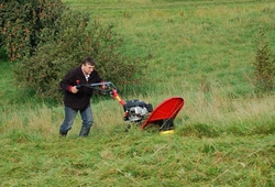 Resize of samsonxx.jpg