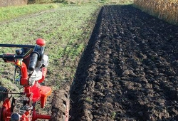 KEMP PUDNICH PRACI RIJEN 2010_34.jpg