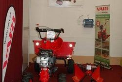Zahrada Cech duben2011_11.jpg