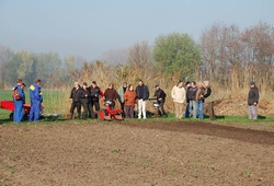kemp sazeni brambor pro zakazniky_duben_02.jpg