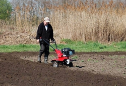 kemp sazeni brambor pro zakazniky_duben_37.jpg