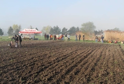 kemp sazeni brambor pro zakazniky_duben_66.jpg