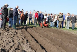 kemp sazeni brambor pro zakazniky_duben_74.jpg