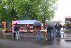 TURPIL_Moravskoslezsky drevorubec_02.jpg