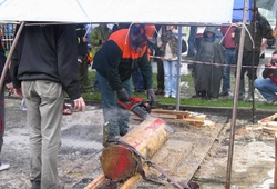 TURPIL_Moravskoslezsky drevorubec_08.jpg