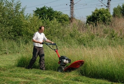 Kemp seceni_Libice_68.jpg