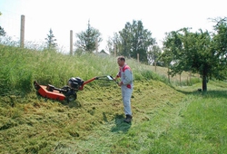 kemp extremniho seceni Troskovice_11.jpg