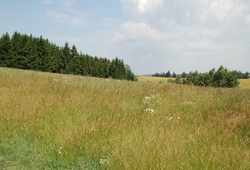 Kemp seceni Sikluv Mlyn2011_006.jpg