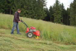 Kemp seceni Sikluv Mlyn2011_072.jpg