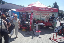 KVETY LYSA 2011 6.jpg