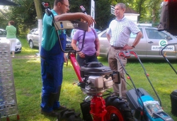 Louny srpen 2011 013.jpg