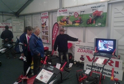 ZAHRADA CECH LITOMERICE 014.jpg