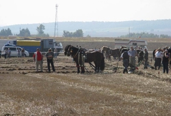 Mistrovstvi orby Kromeriz_07.jpg