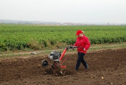 KEMP ORBY_BILOVICE_0064.jpg