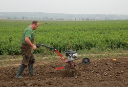 KEMP ORBY_BILOVICE_0061.jpg