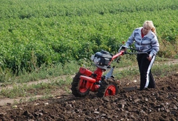 KEMP ORBY_BILOVICE_0027.jpg