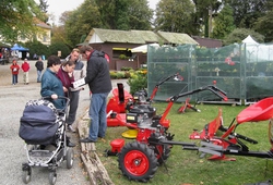 Floria Vezky podzim 2011 014.jpg