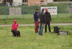 Honda day 2012_1 021.jpg