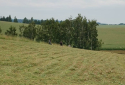 kemp seceni Sikluv Mlyn_15.jpg