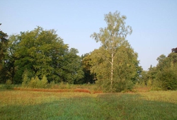 Kemp Březina 4.-6.9.2012